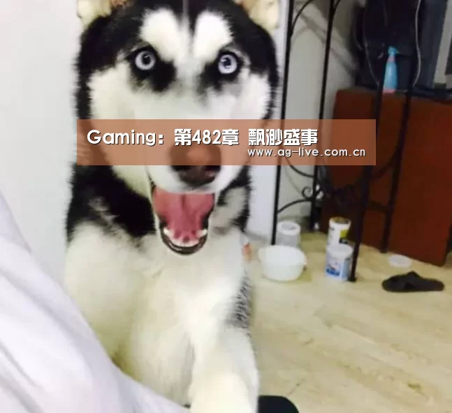 Gaming:第482章 飘渺盛事(图2) Gaming:第482章 飘渺盛事(图2)