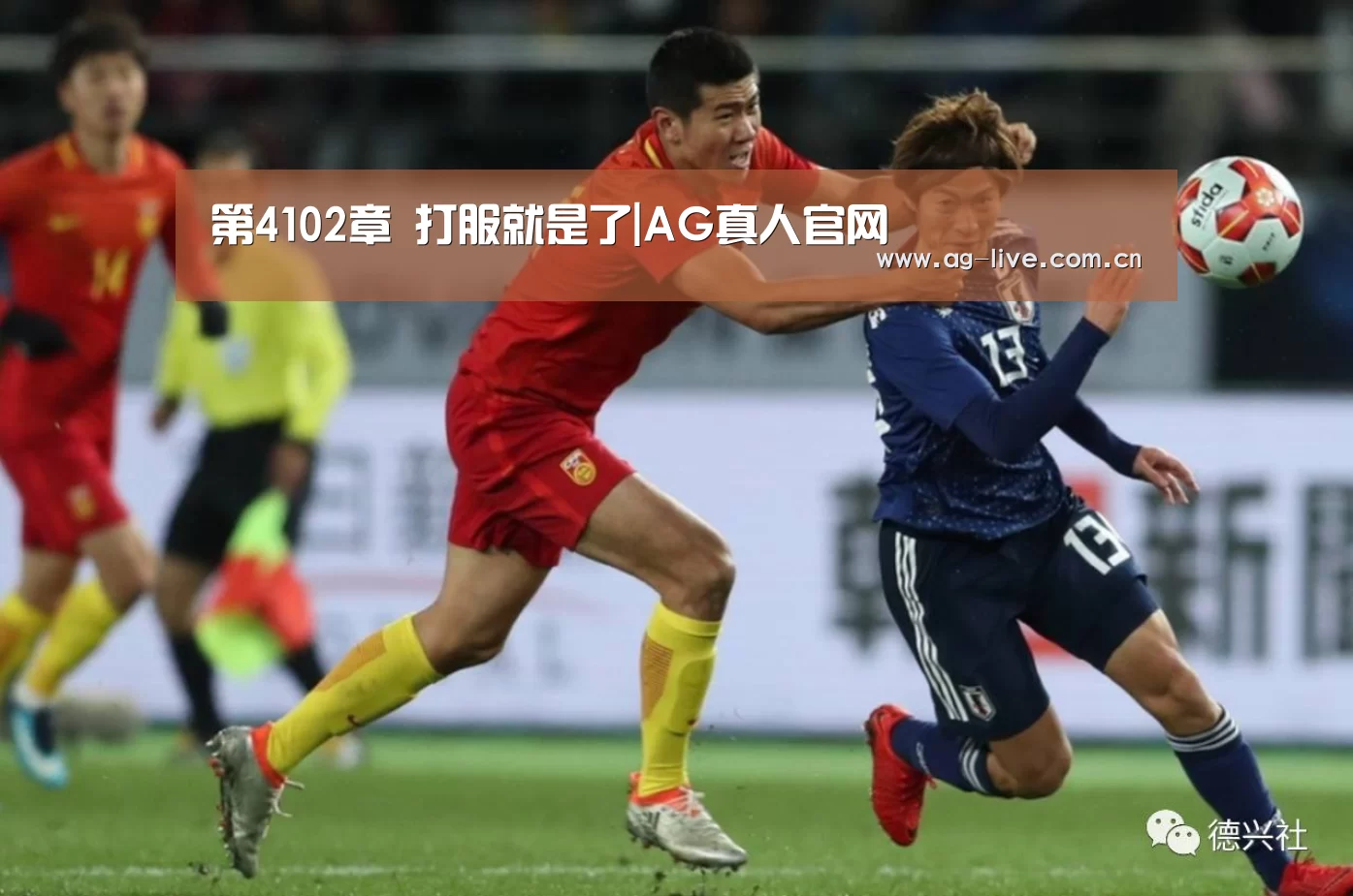 第4102章 打服就是了|AG真人官网(图1) 第4102章 打服就是了|AG真人官网(图1)