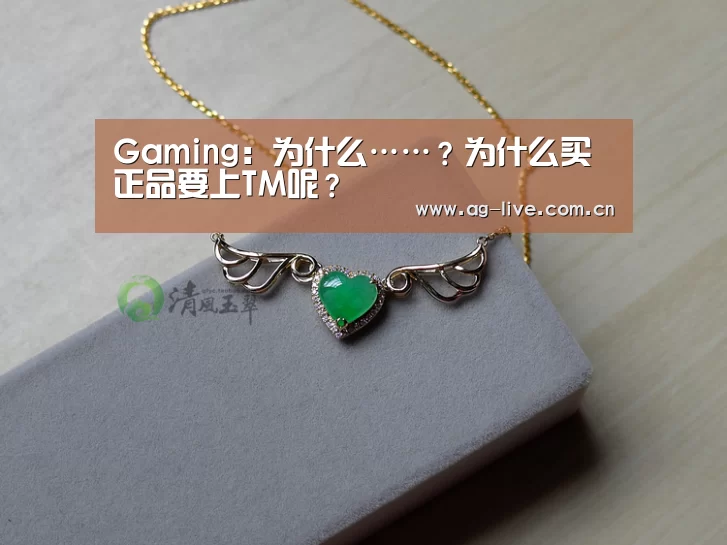 Gaming:为什么……?为什么买正品要上TM呢?(图3) Gaming:为什么……?为什么买正品要上TM呢?(图3)