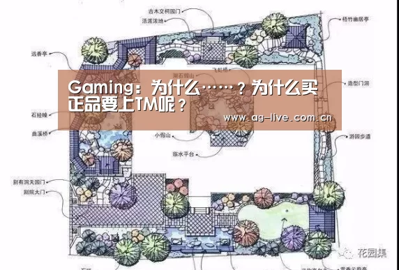 Gaming:为什么……?为什么买正品要上TM呢?(图4) Gaming:为什么……?为什么买正品要上TM呢?(图4)
