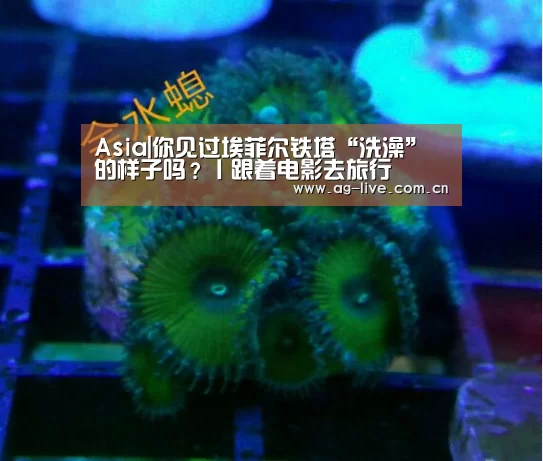 Asia|你见过埃菲尔铁塔“洗澡”的样子吗?丨跟着电影去旅行(图2) AG真人官网