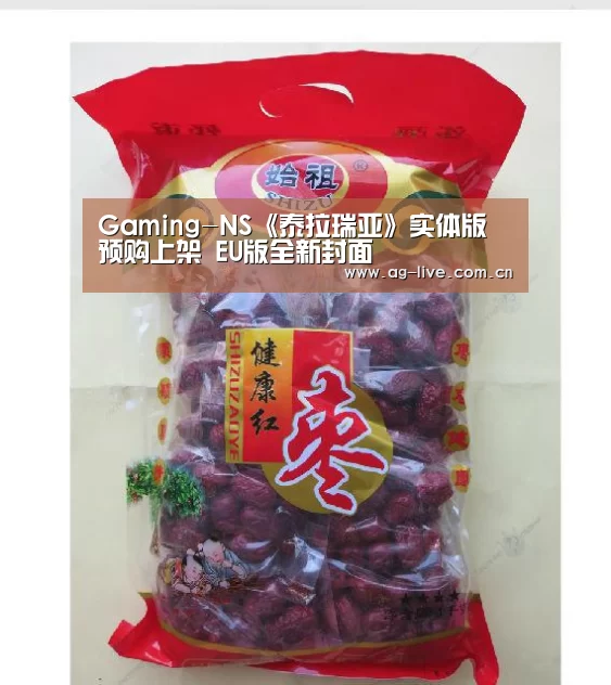 Gaming-NS《泰拉瑞亚》实体版预购上架 EU版全新封面(图1) Gaming-NS《泰拉瑞亚》实体版预购上架 EU版全新封面(图1)