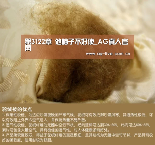 第3122章 他脑子不好使_AG真人官网(图1) AG平台