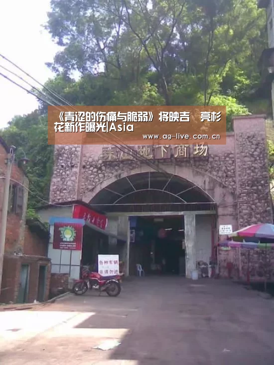 《青涩的伤痛与脆弱》将映吉沢亮杉咲花新作曝光|Asia(图4) 《青涩的伤痛与脆弱》将映吉沢亮杉咲花新作曝光|Asia(图4)