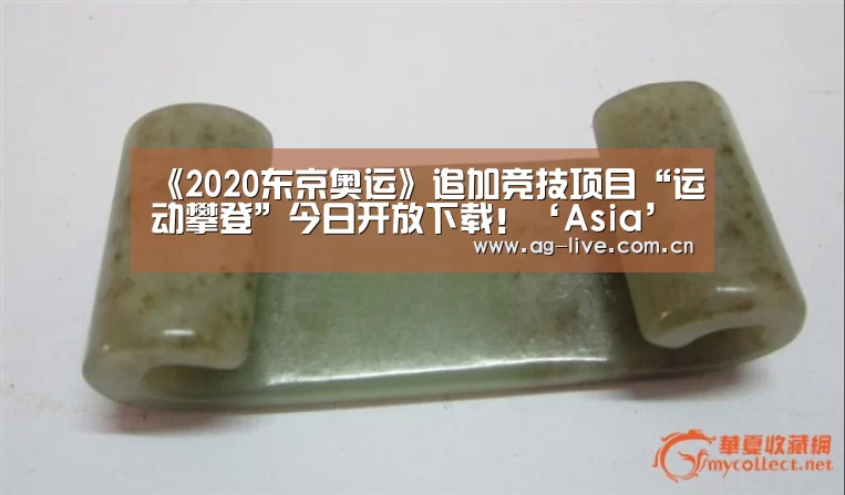 《2020东京奥运》追加竞技项目“运动攀登”今日开放下载!‘Asia’(图1) AG平台