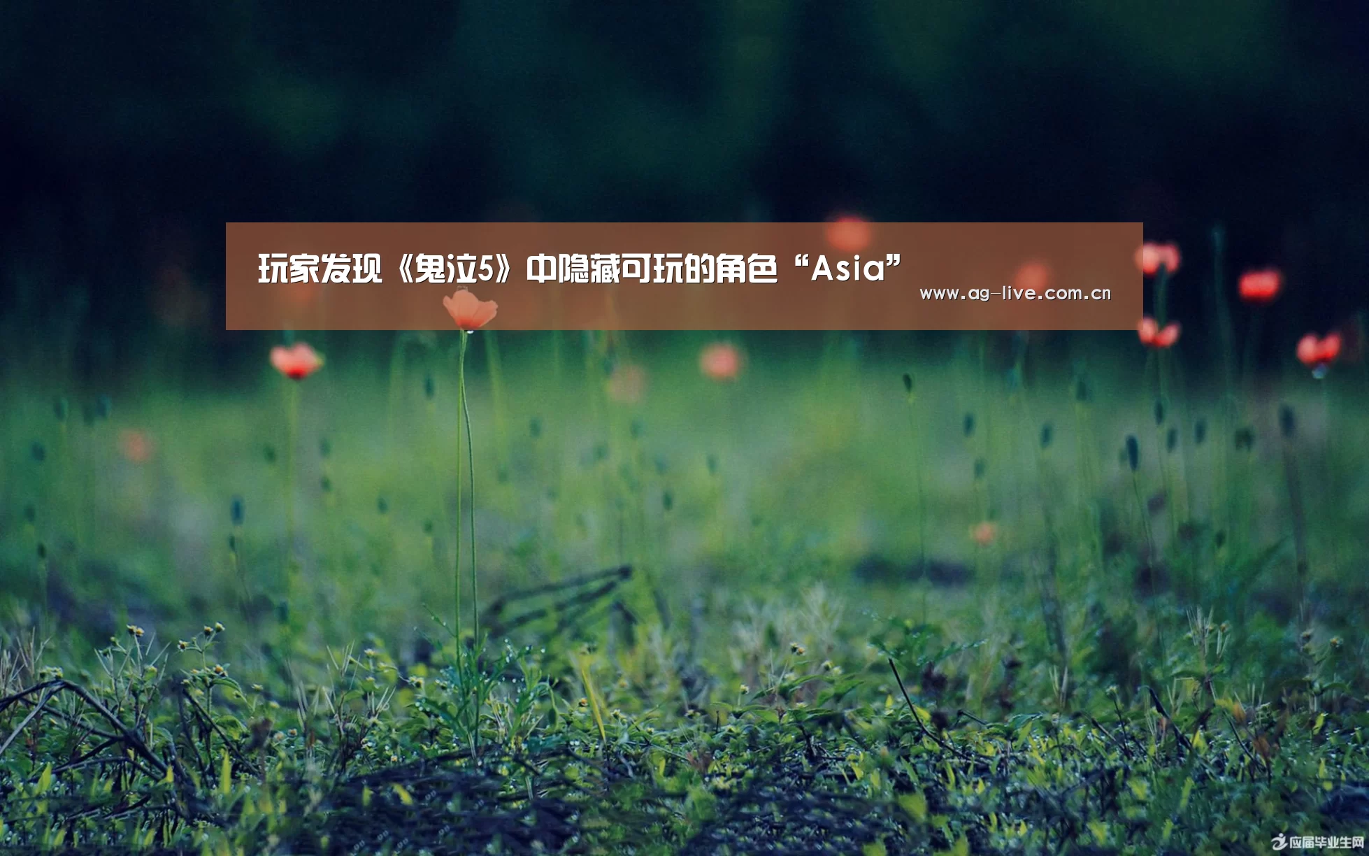 玩家发现《鬼泣5》中隐藏可玩的角色“Asia”(图1) AG平台
