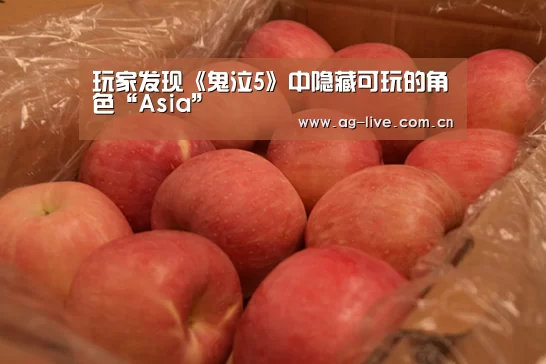 玩家发现《鬼泣5》中隐藏可玩的角色“Asia”(图2) AG真人官网