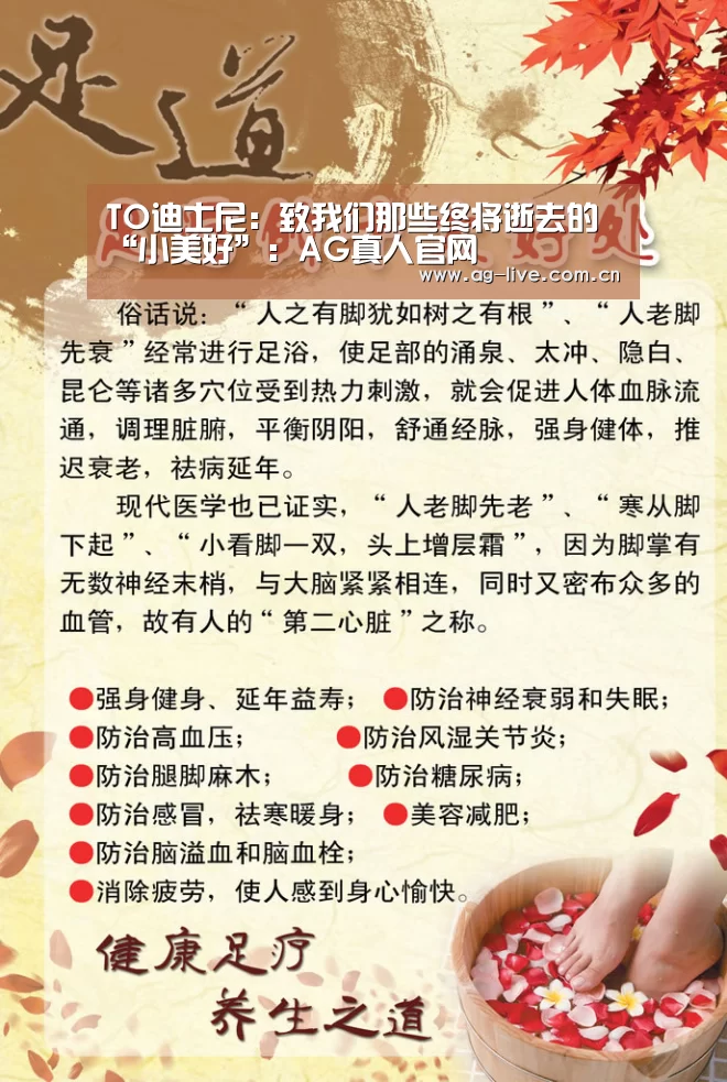 TO迪士尼:致我们那些终将逝去的“小美好”:AG真人官网(图1) TO迪士尼:致我们那些终将逝去的“小美好”:AG真人官网(图1)